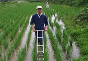 【募集】豊島棚田、田植えのお手伝い募集
