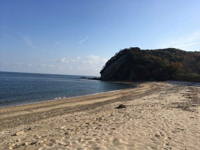 田の浦海岸の様子