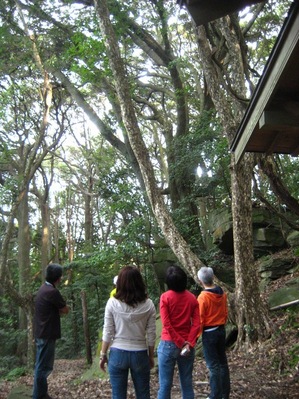 20110925豊島-53.JPGのサムネール画像