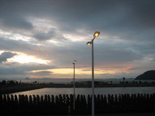IMG_8279.JPG
