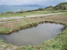 豊島の棚田の田植祭