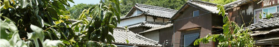 漆の手帖
