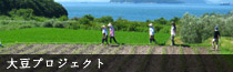 大豆プロジェクト